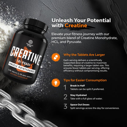 High Strength Tri Phase Creatine Tablets for Women & Men - Formula Blend of Creatine Monohydrate, 300Mg HCL & Pyruvate Supplement - Muscle Mass Gain & Recovery Supplement - 120 Count