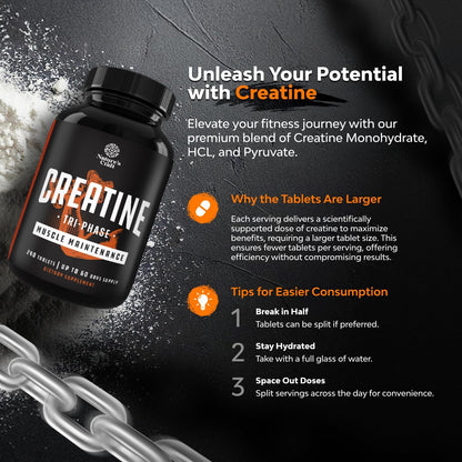 High Strength Tri Phase Creatine Tablets for Women & Men - Formula Blend of Creatine Monohydrate, 300Mg HCL & Pyruvate Supplement - Muscle Mass Gain & Recovery Supplement - 240 Count